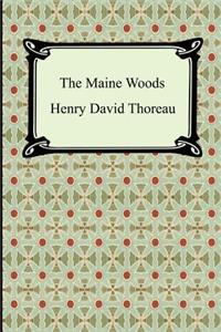 Maine Woods