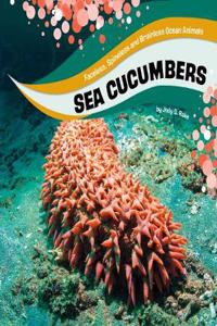 Sea Cucumbers