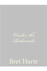 Under the Redwoods