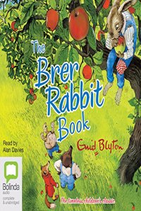 The Brer Rabbit Book