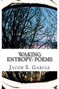 Waking Entropy