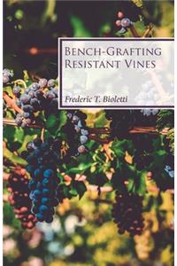 Bench-Grafting Resistant Vines