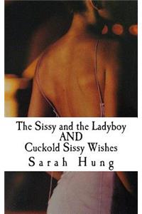 Sissy and the Ladyboy AND Cuckold Sissy Wishes