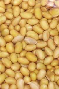 The Soy Beans Journal