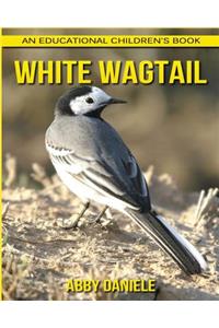 White Wagtail! An Educational Children's Book about White Wagtail with Fun Facts & Photos