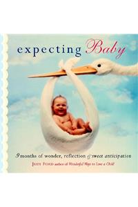 Expecting Baby: Nine Months of Wonder, Reflection and Sweet Anticipation (Pregnancy Book, First Time Mom)