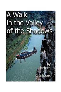 Walk in the Valley of the Shadows