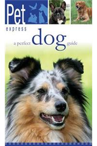 A Perfect Dog Guide