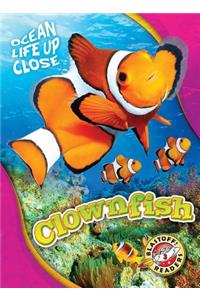 Clownfish