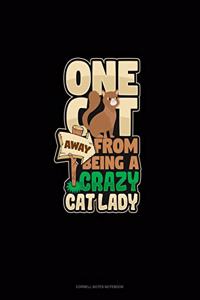 One Cat Away From Being A Crazy Cat Lady