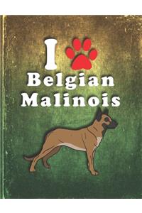 Belgian Malinois