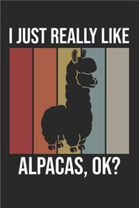 I Just Really Like Alpacas, OK?