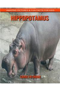 Hippopotamus