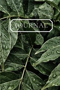 Journal