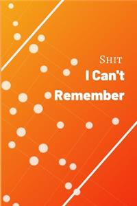 Shit I Can't Remember