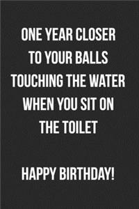 One Year Closer To Your Balls Touching The Water When You Sit On The Toilet