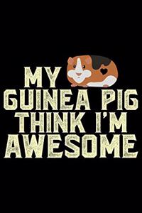 My Guinea Pig Think I'm Awesome