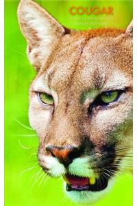Cougar Weekly 5 X 8 Planner 2019