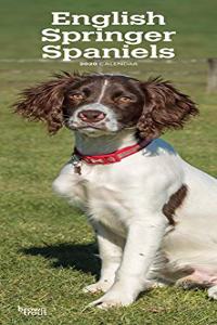 ENGLISH SPRINGER SPANIELS 2020 SLIM CALE
