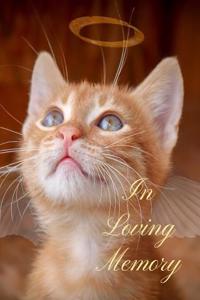 In Loving Memory