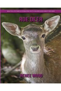 Roe Deer