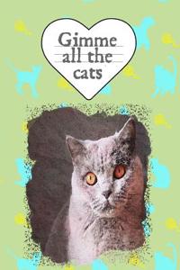 Gimme All the Cats