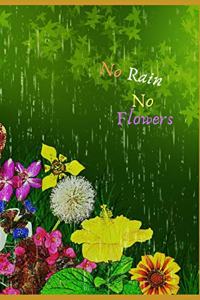 No Rain, No Flowers