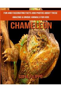 Chameleon