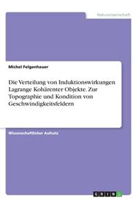 Verteilung von Induktionswirkungen Lagrange Kohärenter Objekte. Zur Topographie und Kondition von Geschwindigkeitsfeldern