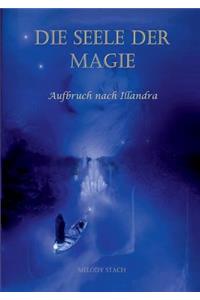 Die Seele der Magie 1