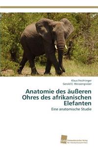 Anatomie des äußeren Ohres des afrikanischen Elefanten
