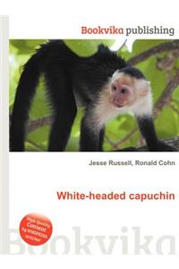 White-Headed Capuchin