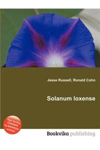 Solanum Loxense
