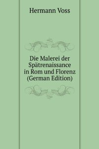 Die Malerei der Spatrenaissance in Rom und Florenz (German Edition)