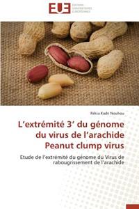 L extrémité 3 du génome du virus de l arachide peanut clump virus