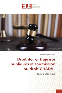 Droit des entreprises publiques et soumission au droit OHADA