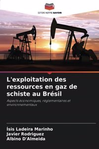 L'exploitation des ressources en gaz de schiste au Brésil