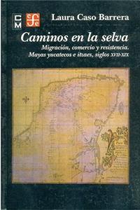 Caminos en la Selva