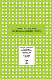 Social, Political and Cultural Challenges of the BRICS