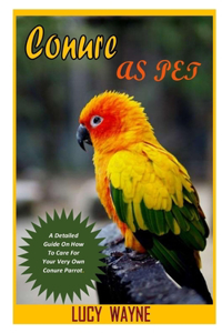 Conures as Pets