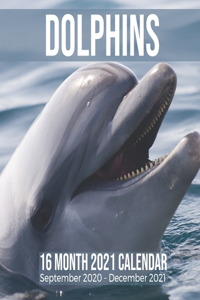 Dolphins 16 Month 2021 Calendar September 2020-December 2021