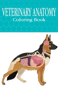 Veterinary Anatomy Coloring Book