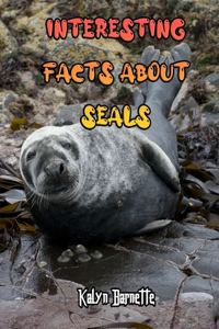 Interesting Facts about Seals