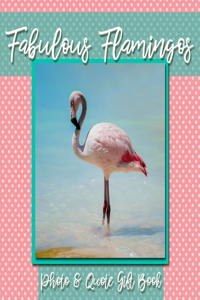 Fabulous Flamingos Photo & Quote Gift Book