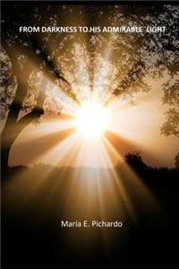 From Darkness to His Admirable Light
