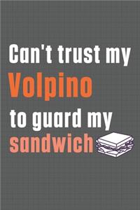 Can't trust my Volpino to guard my sandwich