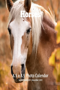 Horses 8.5 X 8.5 Calendar September 2020 -December 2021