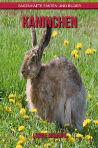 Kaninchen