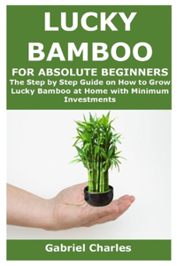 Lucky Bamboo for Absolute Beginners