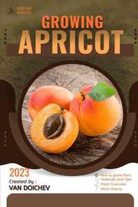 Apricot